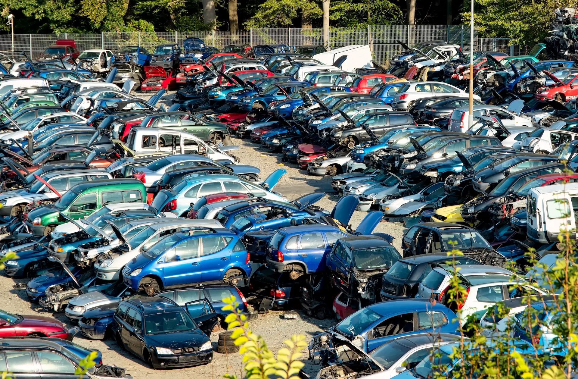 cars at a scrap yard